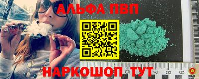 эйфоретик Кингисепп