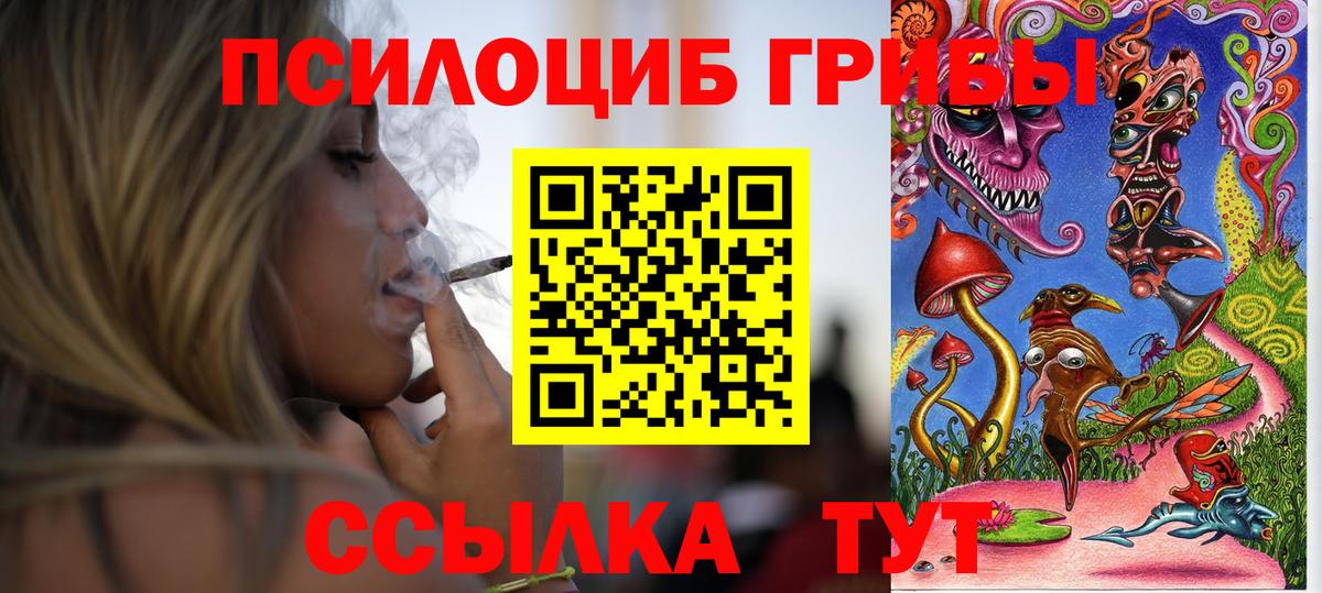 Конаково  Галлюциногенные грибы Psilocybe  где купить   Вход с VPN  Псилоцибиновые грибы мухоморы 