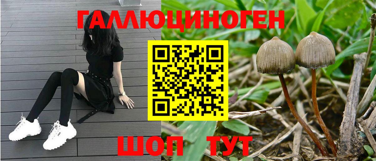 Псилоцибиновые грибы мухоморы Конаково